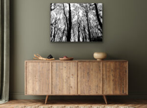 Schwarz-weiß Fotografie von Bäumen im Wald an dunkler Wand über einem braunen Sideboard
