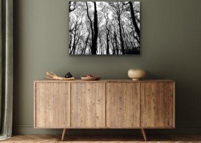 Schwarz-weiß Fotografie von Bäumen im Wald an dunkler Wand über einem braunen Sideboard