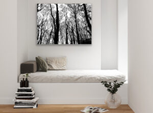 Schwarz-weiß Fotografie von Bäumen im Wald über einer weißen Sitzecke