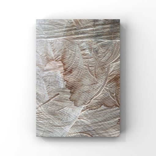 Detailfotografie der Schnittfläche eines Baumstamms