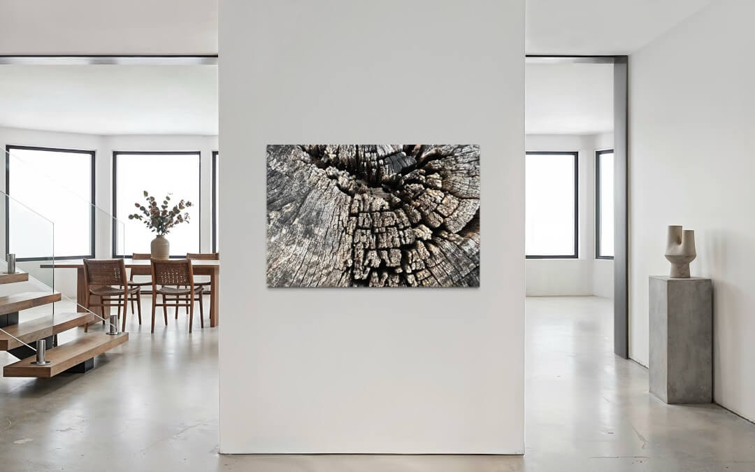 Detailfotografie eines Baumstupfes in Wohnraum an weißer Wand