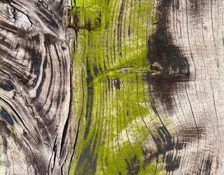 Fotokunst von CR Interior Art Beitragsbild