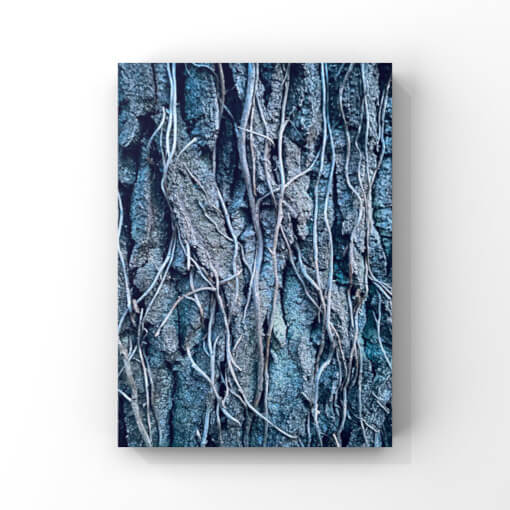 Detailansicht eines mit Ranken bewachsenen Baumstamms in Blautönen