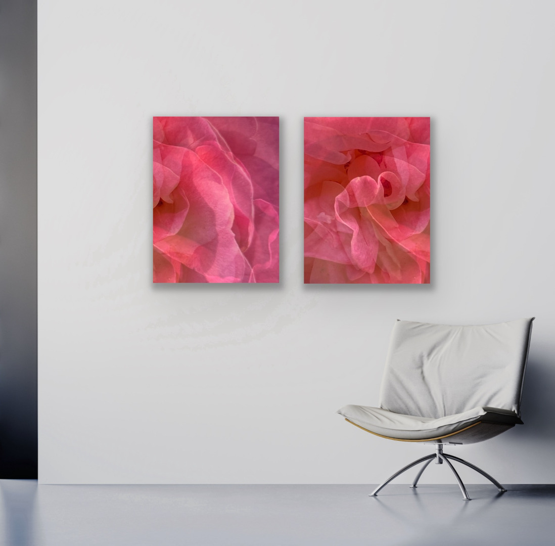 Zwei Detailfotografie von roten Blüten von CR Interior Art über einem weißen Lederstuhl