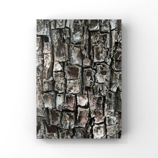 Detailfotografie Braune Rinde