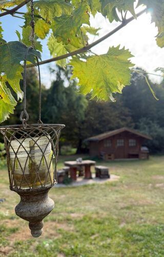 Gartenblick Knittelsheimer Mühle ©Christina Rasimus Gartenblick Knittelsheimer Mühle ©Christina Rasimus