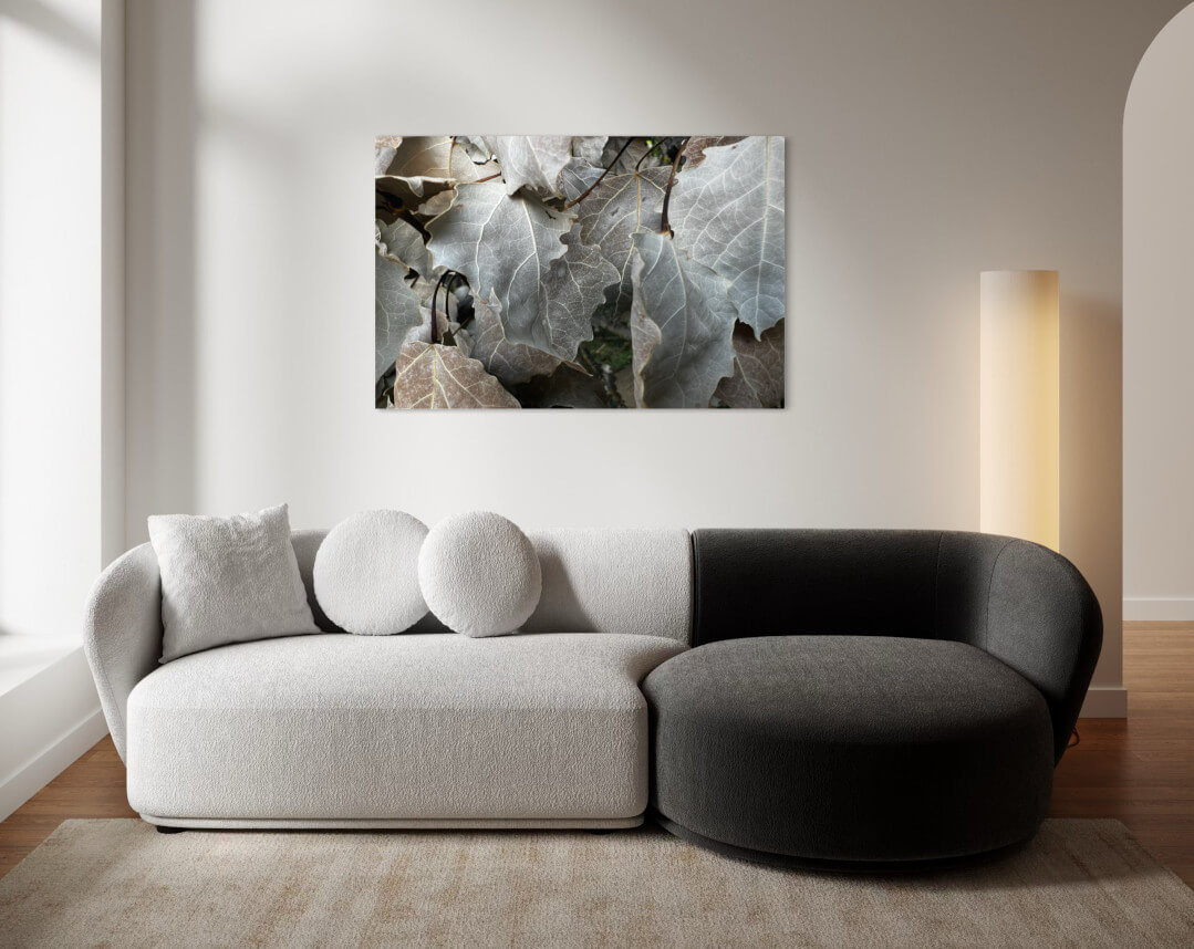 Großformatige Detailfotografie »Graues Laub« über einer grauen Sofalandschaft