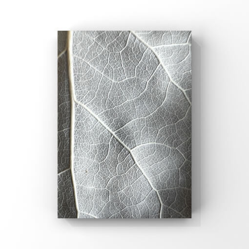 Detailfotografie eines grauen Laubblatts | CR Interior Art | Christina Rasimus