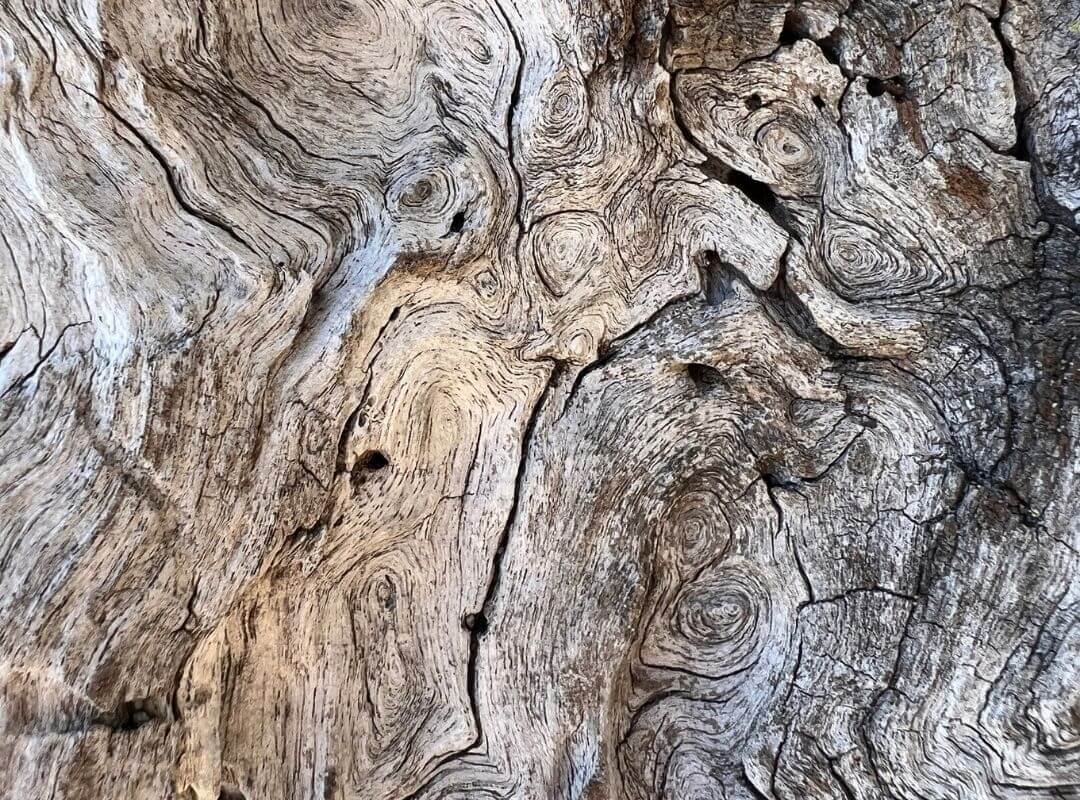 Detailfotografie Holzstruktur CR Interior Art