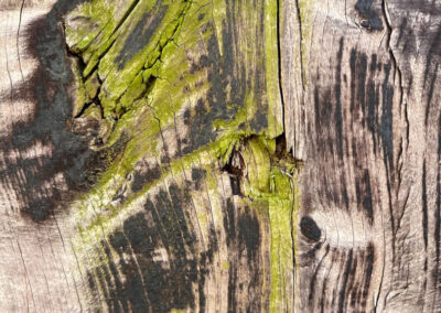 Detailfotografie eines Holzzauns mti grün-schwarzer Zeichnung