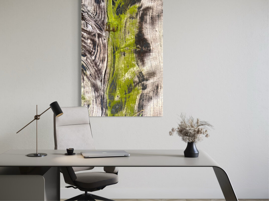 Kunst am Arbeitsplatz Detailfotografie eines von grünem Moos bewachsenen Holzzauns. Die Fotografie hängt an der Wand hinter einem Schreibtisch.