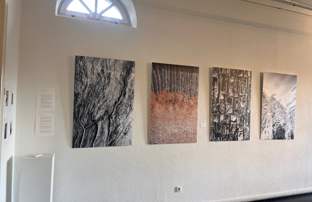 Mitgliederausstellung des Kunstvereins Wörth 2024 Bild 6 Bilder von Christina Rasimus bei der Mitgliederausstellung des Kunstvereins Wörth 2024