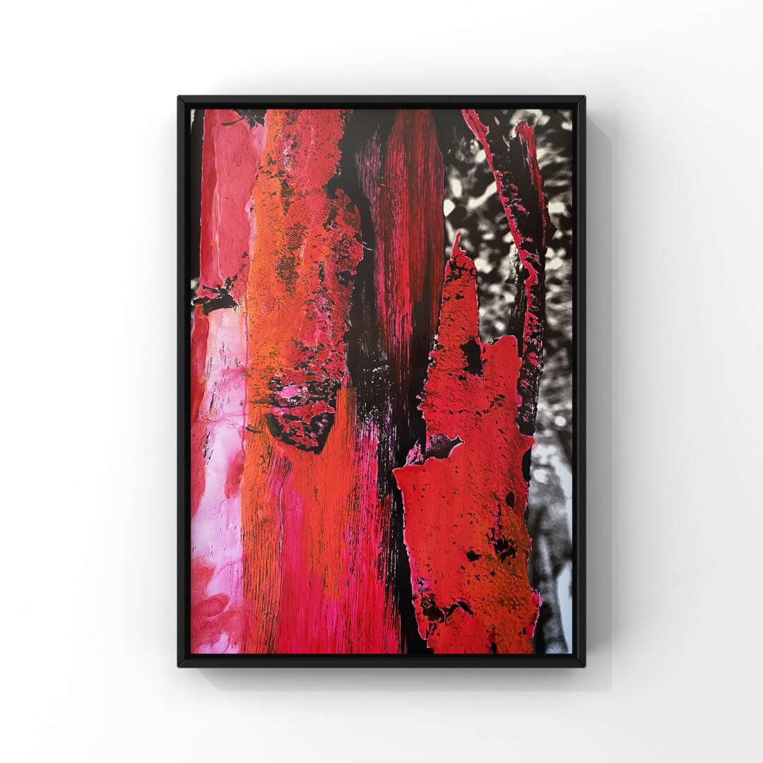 Detailfotografie einer Baumrinde in roten Farbtönen vor schwarz-weißem Hintergrund