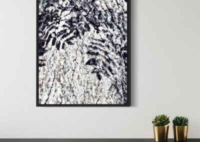 Gerahmte Schwarz-weiß Fotografie von Schatten auf einem Baumstamm an weißer Wand über einem dunklen Sideboard