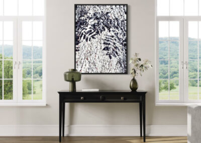 Gerahmte Schwarz-weiß Fotografie von Schatten auf einem Baumstamm über einem schwarzen Sideboard