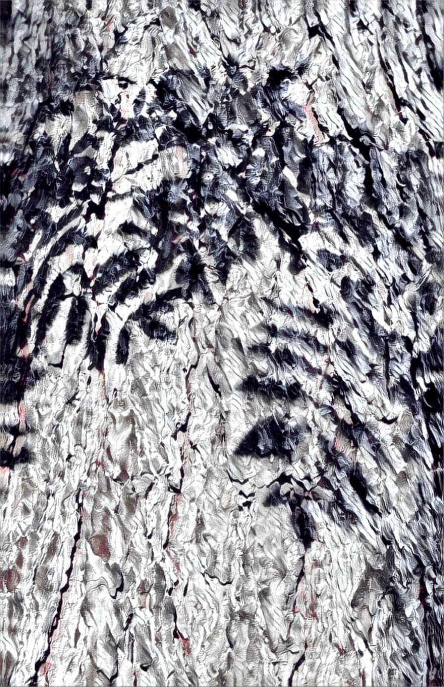 Blätter-Schatten auf Baumstamm