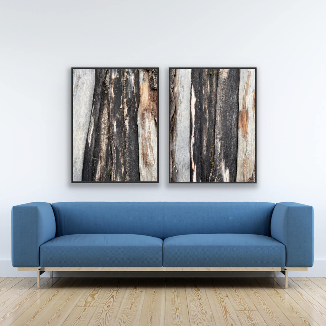 Zwei Detailfotografien von schwarz-brauner Rinde in schwarzem Rahmen über einer blauen Couch.