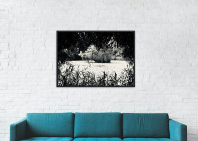 Schwarz-weiß Fotografie eines kleinen Sees in Münster über petrolfarbener Couch