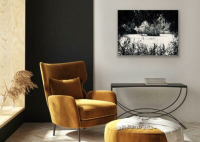 Schwarz-weiß Fotografie eines kleinen Sees in Münster über einer Sitzecke mit goldbraunem Sessel