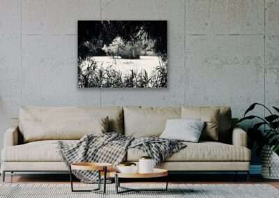 Schwarz-weiß Fotografie eines kleinen Sees in Münster an grauer Betonwand über brauner Couch