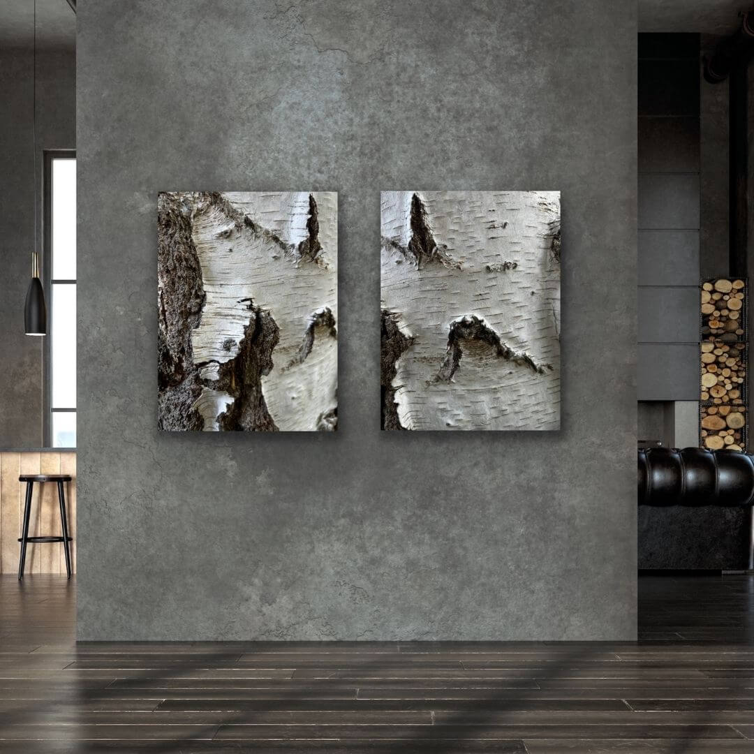 Detailfotografien Serie »Birke« im Raum an grauer Wand
