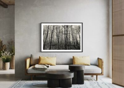 Gerahmte Schwarz-weiß Fotografie eines Waldes an grauer Wand über Sofa mit gelben Kissen