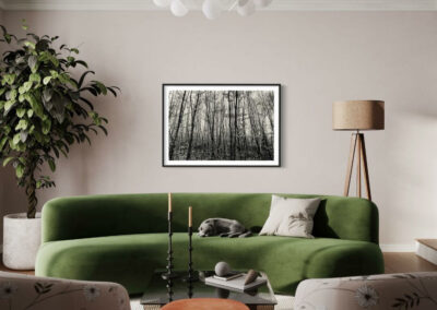 Gerahmte Schwarz-weiß Fotografie eines Waldes über grünem Sofa