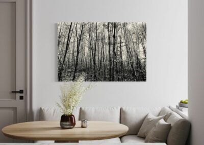 Schwarz-Weiß Fotografie eines Waldes über Sitzecke mit Tisch und cremeweißem Sofa