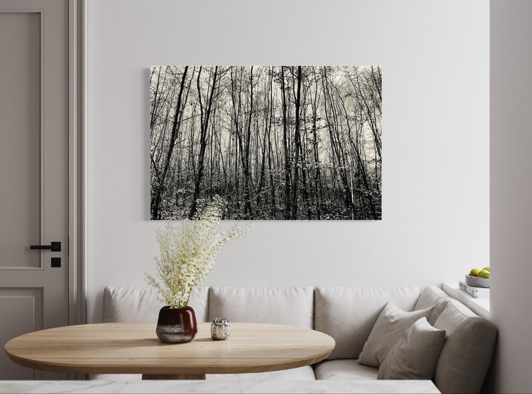 Wald schwarz-Weiß Fotografie Bild 7 Schwarz-Weiß Fotografie eines Waldes über Sitzecke mit Tisch und cremeweißem Sofa