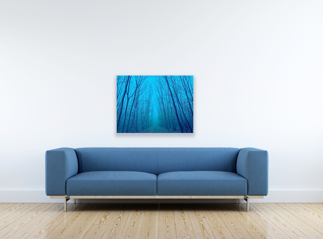 Fotografie eines Waldwegs in blauen Farben über einem blauen Sofa