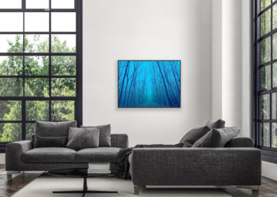 Fotografie eines Waldwegs in blauer Farbe im schwarzen Schattenfugenrahmen über einer dunkelgrauen Couchlandschaft