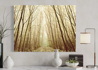 Fotografie eines Waldwegs in gelb-braunen Farbtönen über einem weißen Sideboard