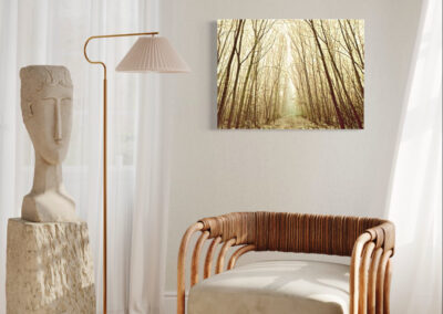 Fotografie eines Waldwegs in gelb-braunen Farbtönen an einer weißen Wand über einem Korbsessel