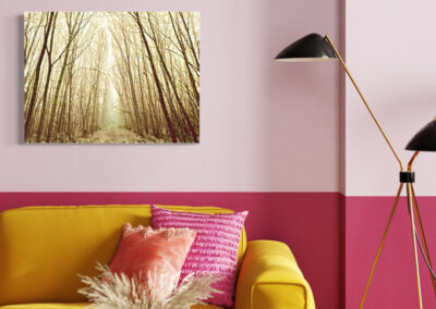 Fotografie eines Waldwegs in gelb-braunen Farbtönen an einer rosa Wand über gelber Couch