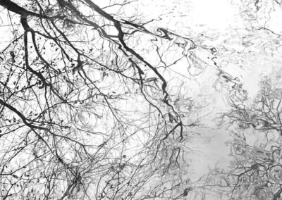 Vorschaubild der Detailfotografie einer Wasserspiegelung, bei der sich ein Baum im Wasser spiegelt