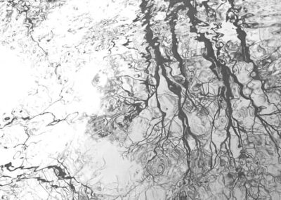 Schwarz-weiße Detailfotografie einer Wasserspiegelung, bei der sich ein Baum im Wasser spiegelt