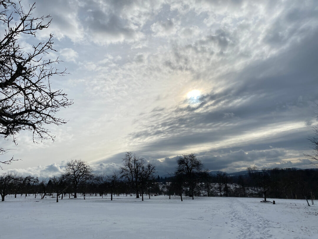 Winterlandschaft